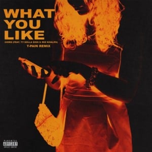 What You Like (Remix) - 24hrs (Ft. T-Pain)