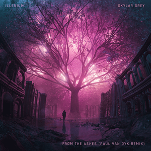 From The Ashes (Paul van Dyk Remix) - ILLENIUM & Skylar Grey