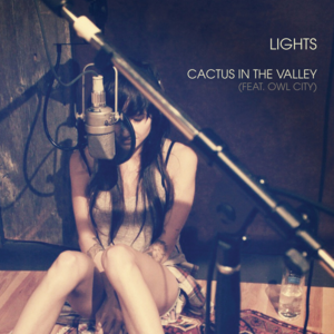 Cactus in the Valley (Acoustic) - Lights (Ft. Owl City)