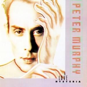 Fun Time (In Cabaret) - Peter Murphy