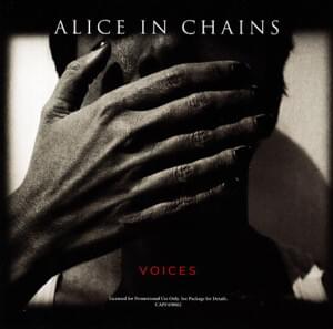 Voices - Alice in Chains