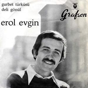 Gurbet Türküsü - Erol Evgin