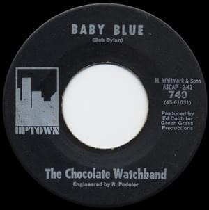 Baby Blue - The Chocolate Watchband