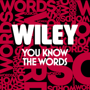 You Know the Words - Wiley