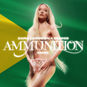 Ammunition (DENNIS Remix) - Zara Larsson