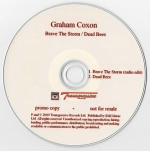 Brave The Storm - Graham Coxon