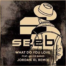 What Do You Love (JordanXL Remix) - Seeb (Ft. Jacob Banks)