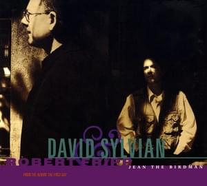 Jean the Birdman - David Sylvian & Robert Fripp