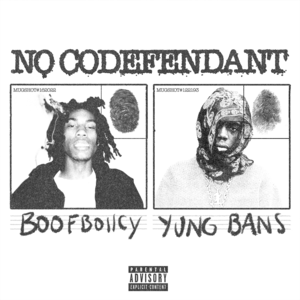 No Codefendant - BOOFBOIICY (Ft. Yung Bans)