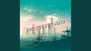 She Doesn’t Mind - Elvatix