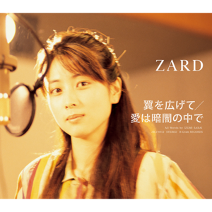 翼を広げて (Tsubasa wo Hirogete) - ZARD