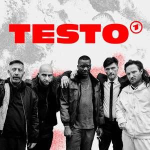 TESTO - Veysel & GRiNGO