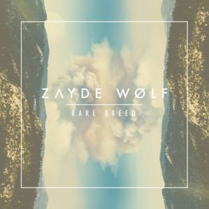 Built For This Time - Zayde Wolf