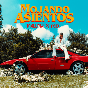 Mojando Asientos - Maluma (Ft. Feid)