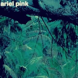 Steviepink - Ariel Pink