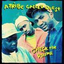 Check the Rhime (Mr. Muhammad’s Mix) - A Tribe Called Quest