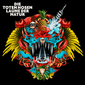 Pop & Politik - Die Toten Hosen