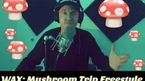 Mushroom Trip Freestyle - Wax