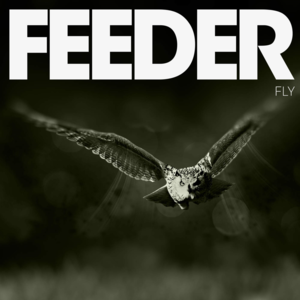 Fly - Feeder