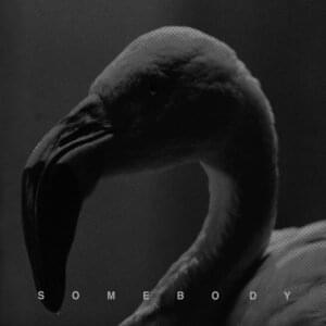 Somebody - Hurts