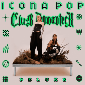 Fall In Love (Icona Pop DJ Edit) - Icona Pop