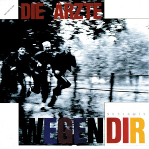 Wegen dir - Die Ärzte