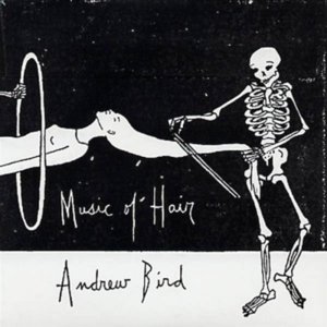 Song of Foot - Andrew Bird