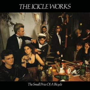 Book of Reason - The Icicle Works