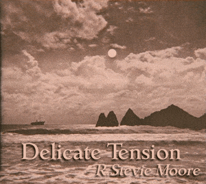 Delicate Tension - R. Stevie Moore