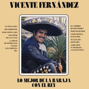 Esta tristeza mía - Vicente Fernández