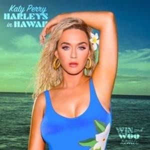 Harleys In Hawaii (Win and Woo Remix) - Katy Perry