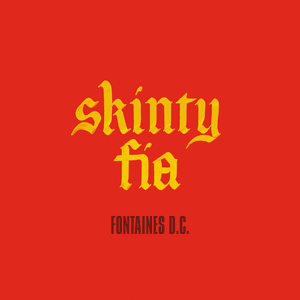 Skinty Fia - Fontaines D.C.