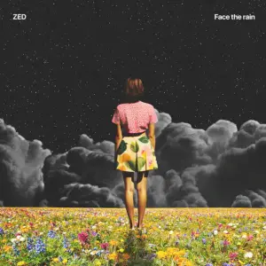 Face The Rain - Zed (NZL)