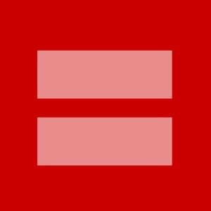 Defense of Marriage Act (DOMA) - United States Congress (Ft. Rep. Bob Barr)
