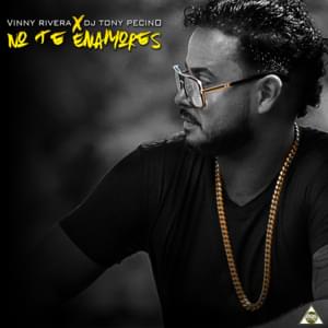 NO TE ENAMORES - Vinny Rivera (Ft. DJ Tony Pecino)