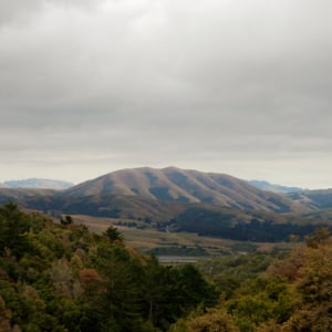 When the World Comes to an End - Dirty Projectors + Björk