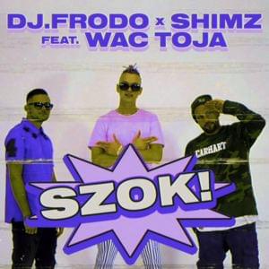 Szok! - Dj.Frodo & Shimz (Ft. Wac Toja)