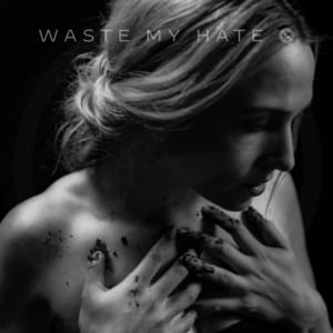 Waste My Hate - Icon For Hire