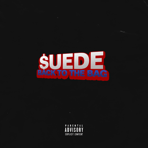 BACK TO THE BAG - MoneySign Suede