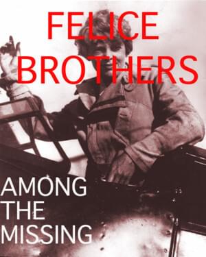 Among the Missing - The Felice Brothers