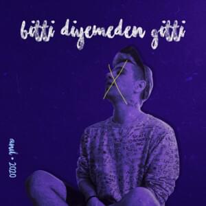 Bitti, Diyemeden Gitti - Anıl Emre Daldal