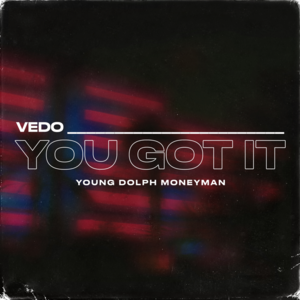 You Got It (Remix) - VEDO (Ft. Money Man & Young Dolph)