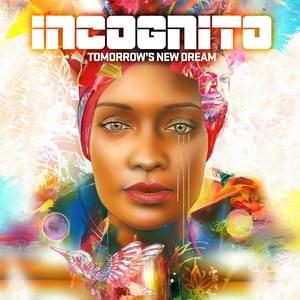 Haze of Summer - Incognito (Ft. Joy Rose)