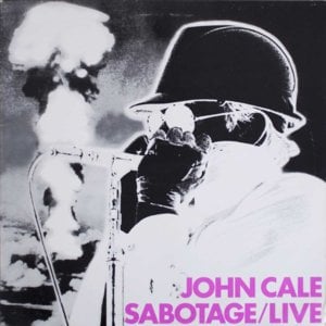 Walkin’ the Dog - John Cale