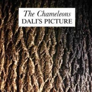 Dali’s Picture - The Chameleons