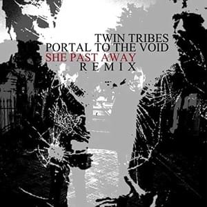 Portal to the Void (She Past Away Remix) - Twin Tribes (Ft. She Past Away)