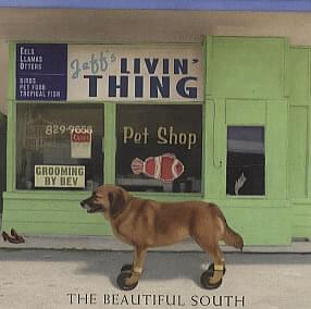 Livin’ Thing - The Beautiful South