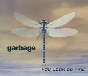 Soldier Through This - Garbage