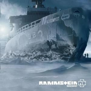 Rammstein - Mann Gegen Mann (English Translation) - Lyrxo English Translations