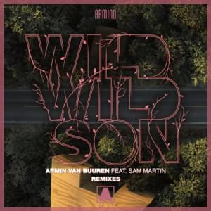 Wild Wild Son (Richard Durand Remix) - Armin van Buuren (Ft. Sam Martin)